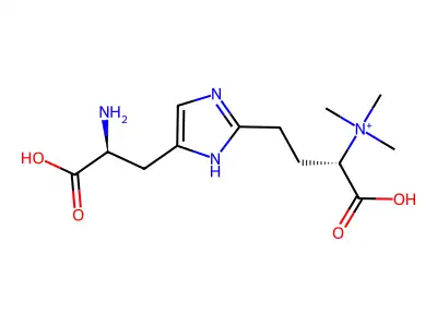 Diphthine structure
