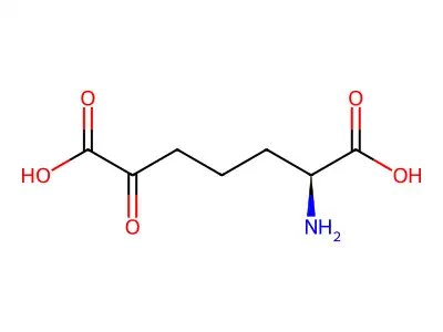 (2S)-2-Amino-6-oxoheptanedioic acid structure
