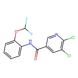 5,6-dichloro-N-[2-(difluoromethoxy)phenyl]pyridine-3-carboxamide structure