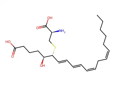 白三烯E4 structure