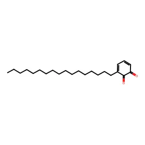 3,5-Cyclohexadiene-1,2-dione, 3-heptadecyl- structure