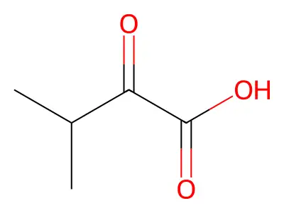 Α-酮异戊酸 structure