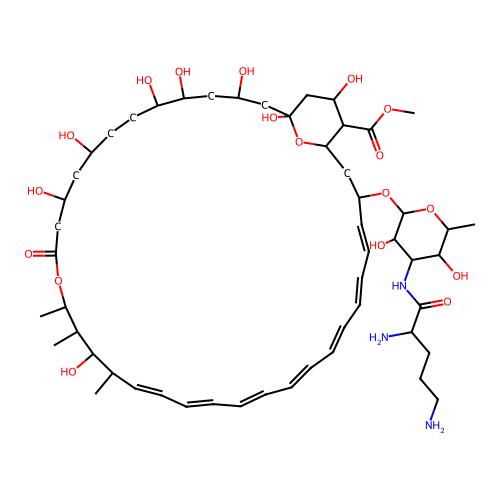 Ornithylamphotericin methyl ester structure