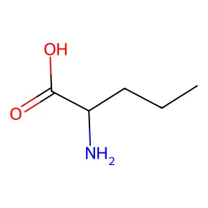 DL-正缬氨酸 structure