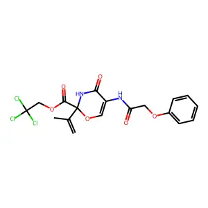 J1.300.206A structure