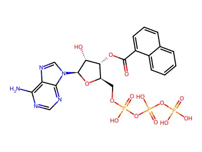 naphthoyl-ATP structure