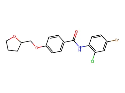 N-(4-bromo-2-chlorophenyl)-4-(oxolan-2-ylmethoxy)benzamide structure