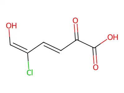 5-Chloro-6-hydroxy-2-oxohexa-3,5-dienoic acid structure