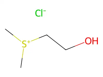 Sulfocholine structure