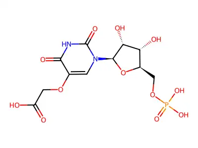 5-Oxyacetic acid 5'-ump structure