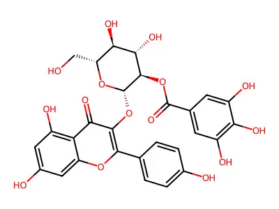 Astragalin 2''-O-Gallate structure