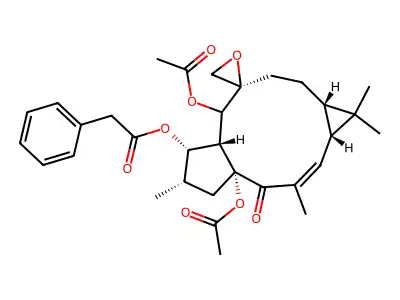 (S)-2-amino-5-phosphonopentanoic acid structure