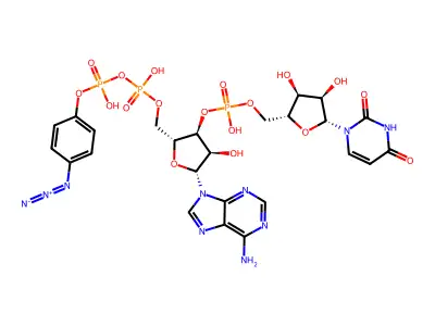 beta-(4-Azidophenyl)adenylyl-(3'-5')-uridine 5'-diphosphate structure