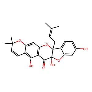 Sanggenon A structure