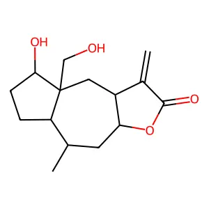 Rudmollin structure