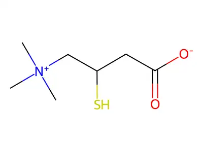 Thiocarnitine structure