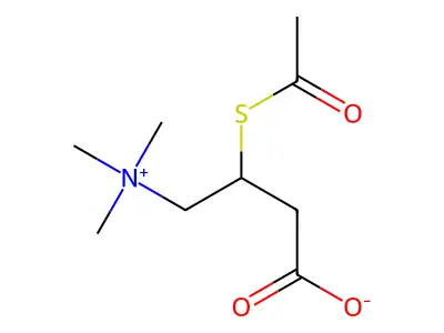 S-Acetylthiocarnitine structure