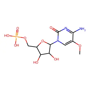 Poly(5-methoxycytidylic acid) structure