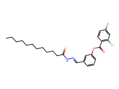 [3-[(Dodecanoylhydrazinylidene)methyl]phenyl] 2,4-dichlorobenzoate structure
