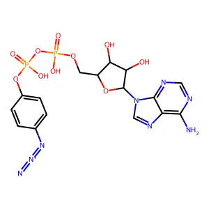 β-(4-叠氮基苯基)腺苷5'-二磷酸 structure