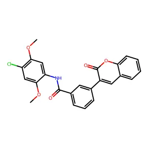 N-(4-chloro-2,5-dimethoxyphenyl)-3-(2-oxo-2H-chromen-3-yl)benzamide structure