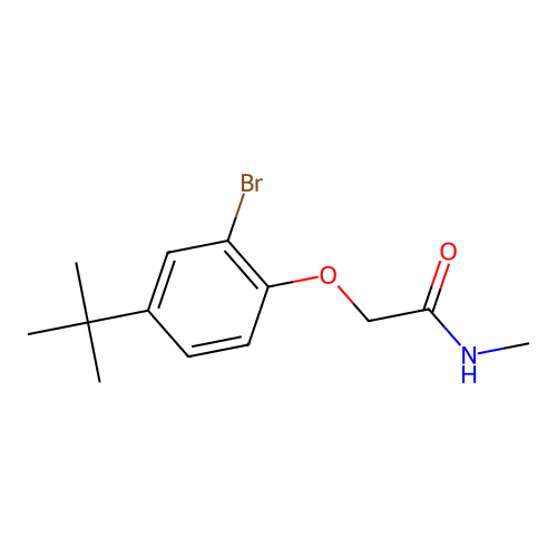 2-(2-bromo-4-tert-butylphenoxy)-N-methylacetamide structure