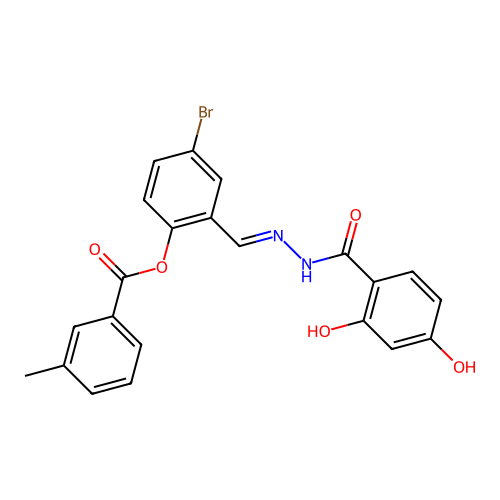 4-Bromo-2-(2-(2,4-dihydroxybenzoyl)carbohydrazonoyl)phenyl 3-methylbenzoate structure