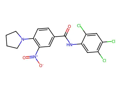 3-nitro-4-pyrrolidin-1-yl-N-(2,4,5-trichlorophenyl)benzamide structure