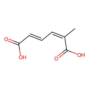 2,4-Hexadienedioic acid, 2-methyl-, (2Z,4Z)- structure