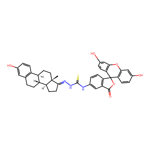17-Fluorescein estrone structure
