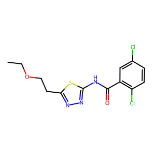 2,5-dichloro-N-[5-(2-ethoxyethyl)-1,3,4-thiadiazol-2-yl]benzamide structure