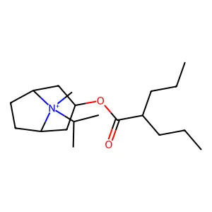 Sintropium structure