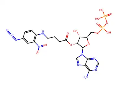 azidonitrophenylaminobutyryl-ADP structure