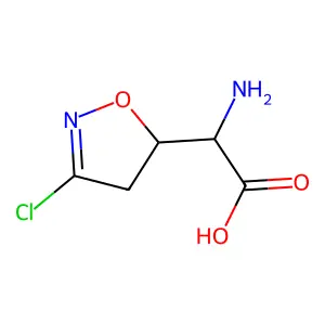阿西维辛 structure