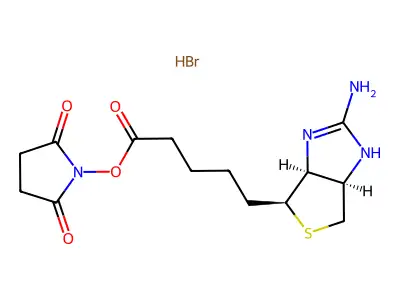 1-((5-(2-Iminohexahydro-1H-thieno[3,4-d]imidazol-4-yl)pentanoyl)oxy)-2,5-pyrrolidinedione structure