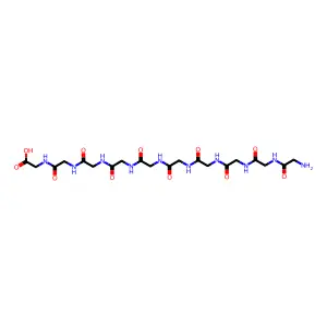 Decaglycine structure