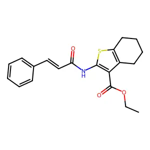 ethyl 2-cinnamamido-4,5,6,7-tetrahydrobenzo[b]thiophene-3-carboxylate structure