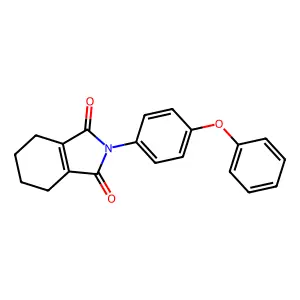 2-(4-Phenoxyphenyl)-4,5,6,7-tetrahydroisoindole-1,3-dione structure