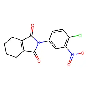 1H-Isoindole-1,3(2H)-dione, 2-(4-chloro-3-nitrophenyl)-4,5,6,7-tetrahydro- structure