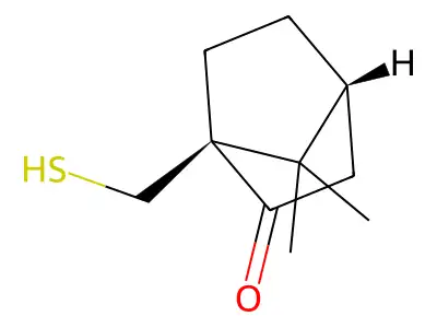 Astraciceran structure