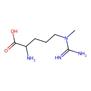 N5-(Aminoiminomethyl)-N5-methyl-L-ornithine structure