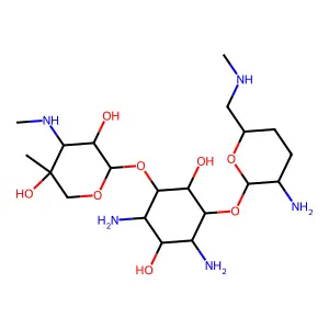 2-Hydroxysagamicin structure