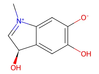 Epinephrine derived atpase inhibitor structure