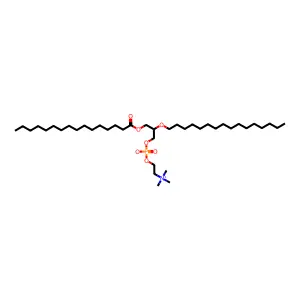 Phpc-1,2 structure