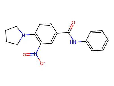 3-nitro-N-phenyl-4-pyrrolidin-1-ylbenzamide structure