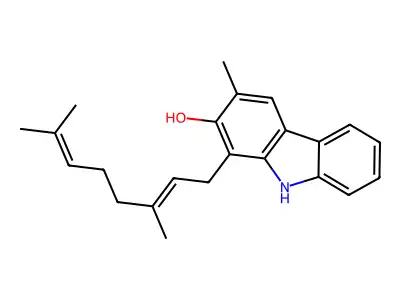 马汉尼比洛 structure