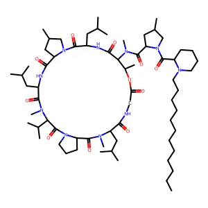 27753R.P. structure