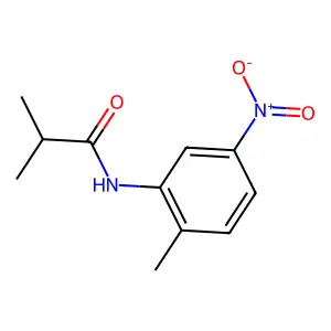 2-methyl-N-(2-methyl-5-nitrophenyl)propanamide structure