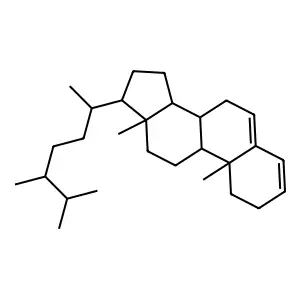 Ergosta-3,5-diene, (24xi)- structure