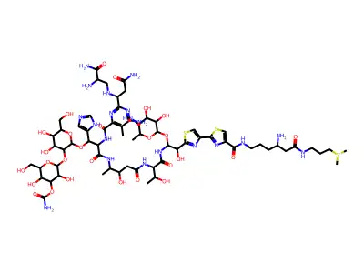 Tallysomycin S2a copper complex structure